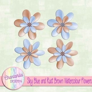 free sky blue and rust brown watercolour flowers