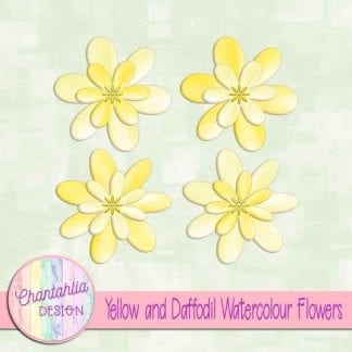 free yellow and daffodil watercolour flowers