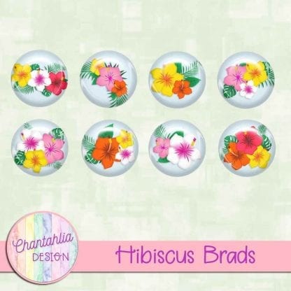 Free brads in a Hibiscus theme.
