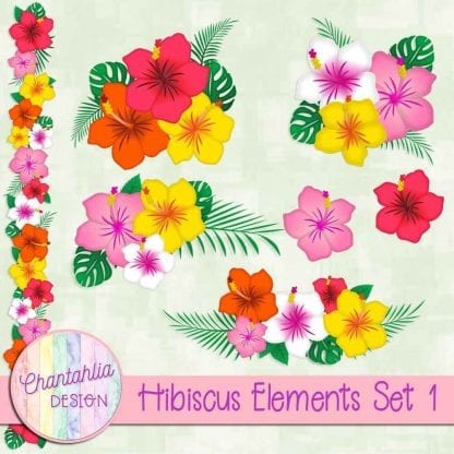 Free design elements in a Hibiscus theme.