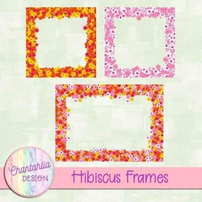 Free digital frames in a Hibiscus theme.