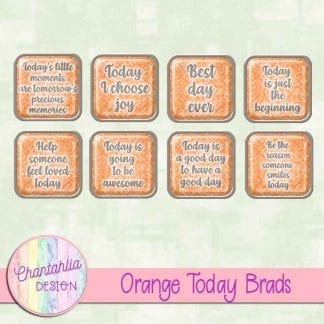 Free orange brads in a motivational today theme.