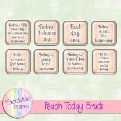 Free peach brads in a motivational today theme.