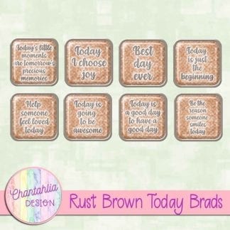 Free rust brown brads in a motivational today theme.