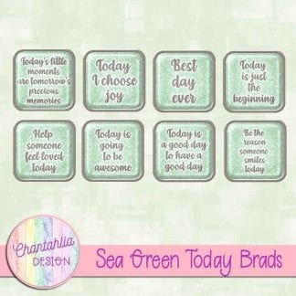 Free sea green brads in a motivational today theme.