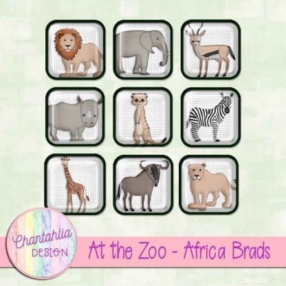 Free brads in an At the Zoo - Africa theme
