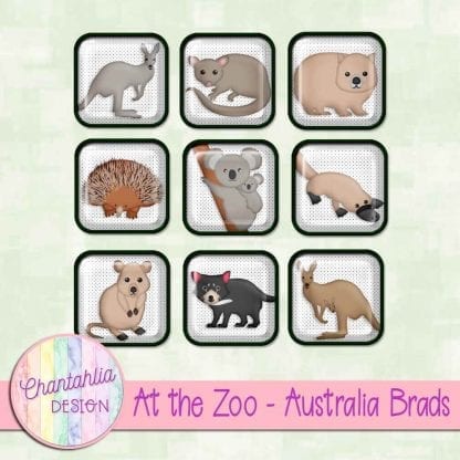 Free brads in an At the Zoo - Australia theme
