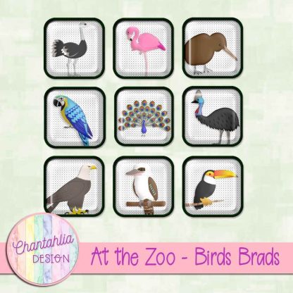 Free digital brads in an At the Zoo - Birds theme.