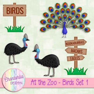 Free design elements in an At the Zoo - Birds theme