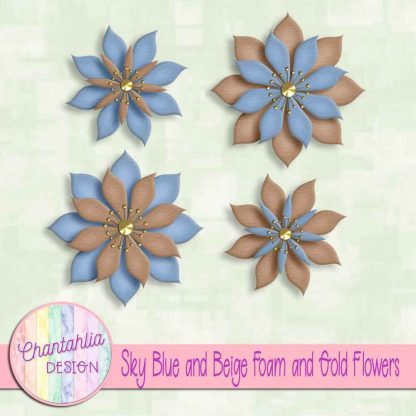 free sky blue and beige foam and gold flowers