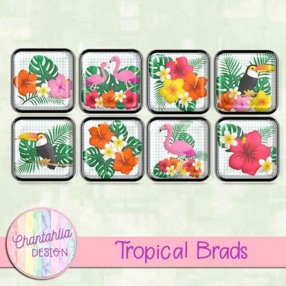 Free digital brads in a Tropical theme