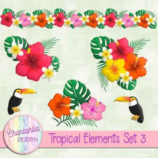 Free design elements in a Tropical theme.