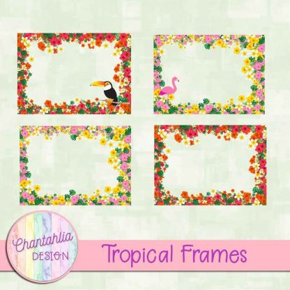 Free digital frames in a Tropical theme.