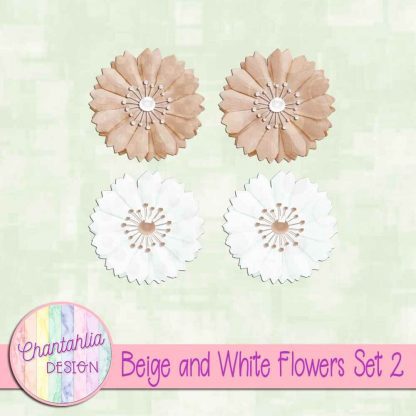 Free beige and white flowers design elements