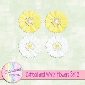 Free daffodil and white flowers design elem