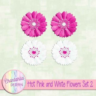 Free hot pink and white flowers design elements