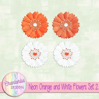 Free neon orange and white flowers design elements