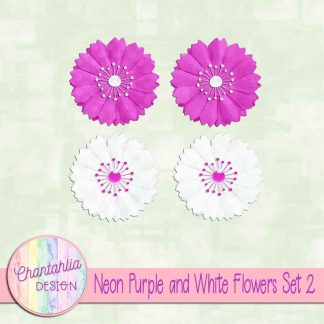 Free neon purple and white flowers design elements