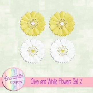 Free olive and white flowers design elements