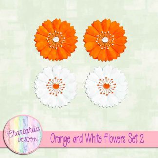 Free orange and white flowers design elements