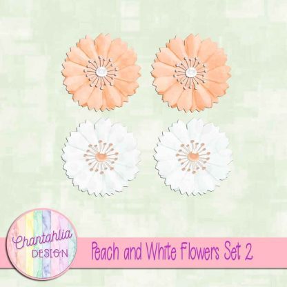 Free peach and white flowers design elements