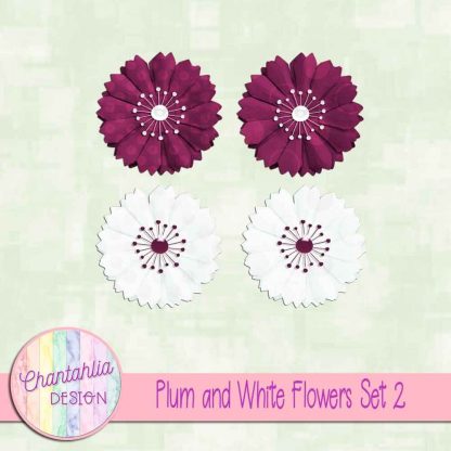Free plum and white flowers design elements
