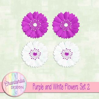 Free purple and white flowers design elements