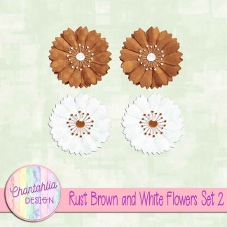 Free rust brown and white flowers design elements