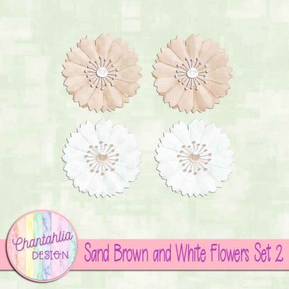 Free sand brown and white flowers design elements