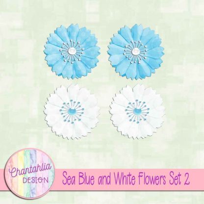 Free sea blue and white flowers design elements