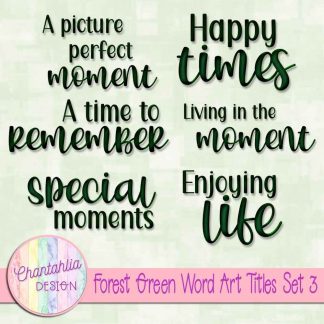 Free scrapbook title word art in a forest green brushed metal style
