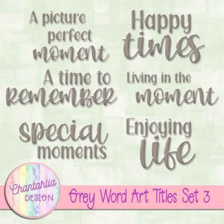 Free scrapbook title word art in a grey brushed metal style