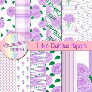 Free lilac dahlias digital papers