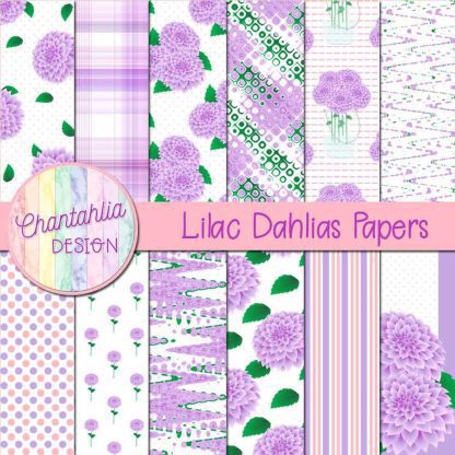 Free lilac dahlias digital papers