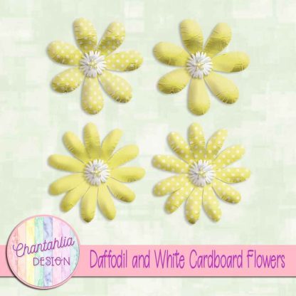 Free daffodil and white cardboard flowers