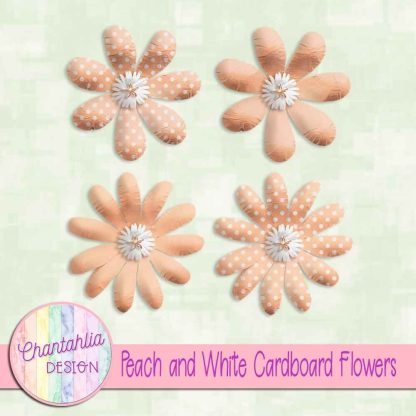 Free peach and white cardboard flowers