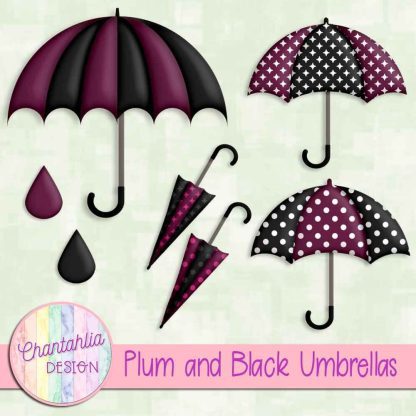 Free plum and black umbrellas design elements