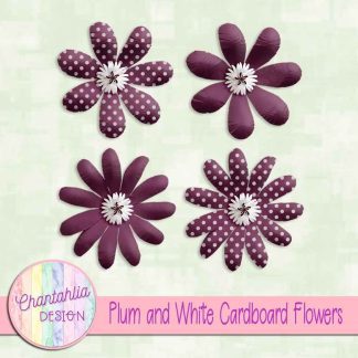 Free plum and white cardboard flowers