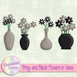 Free grey and black flowers in vases
