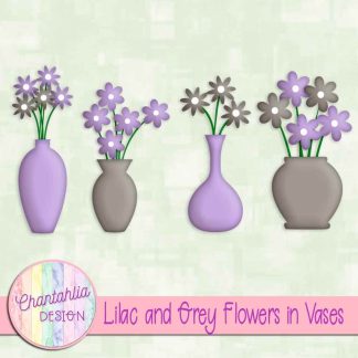 Free lilac and grey flowers in vases