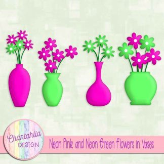 Free neon pink and neon green flowers in vases