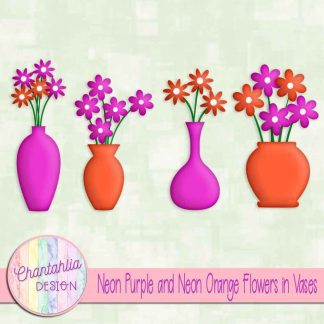 Free neon purple and neon orange flowers in vases