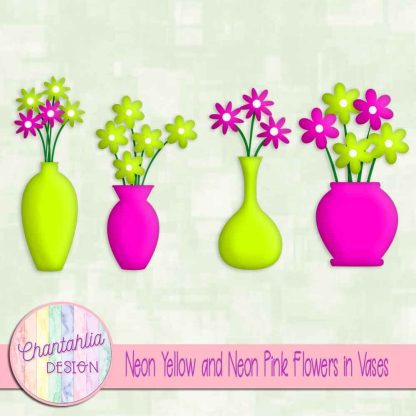 Free neon yellow and neon pink flowers in vases