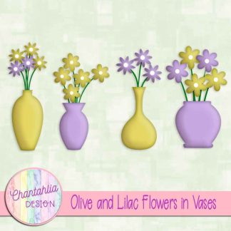Free olive and lilac flowers in vases