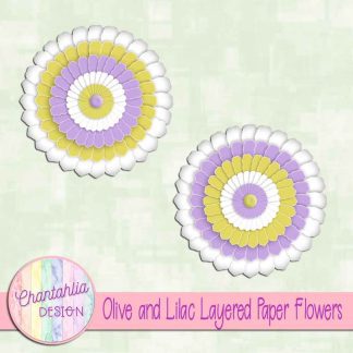 Free olive and lilac layered paper flowers