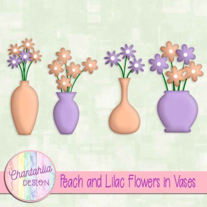 Free peach and lilac flowers in vases