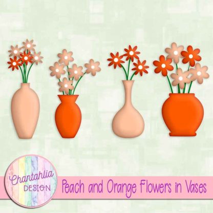 Free peach and orange flowers in vases
