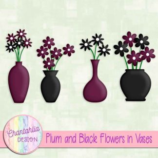 Free plum and black flowers in vases
