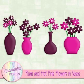 Free plum and hot pink flowers in vases
