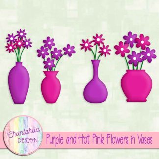 Free purple and hot pink flowers in vases